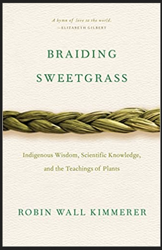 Robin Wall Kimmerer - Braiding Sweetgrass: Indigenous Wisdom, Scientific Knowledge and the Teachings of Plants (Paperback)