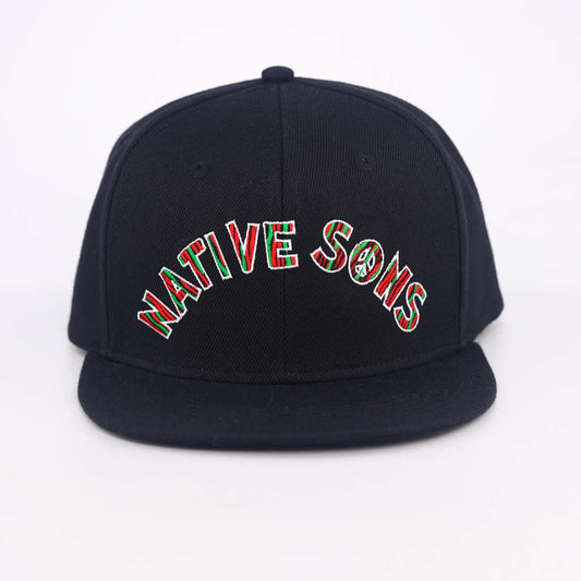 Native Sons Snapback Hat
