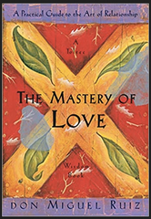 Don Miguel Ruiz - The Mastery of Love: A Practical Guide to the Art of Relationship: A Toltec Wisdom Book (Paperback)